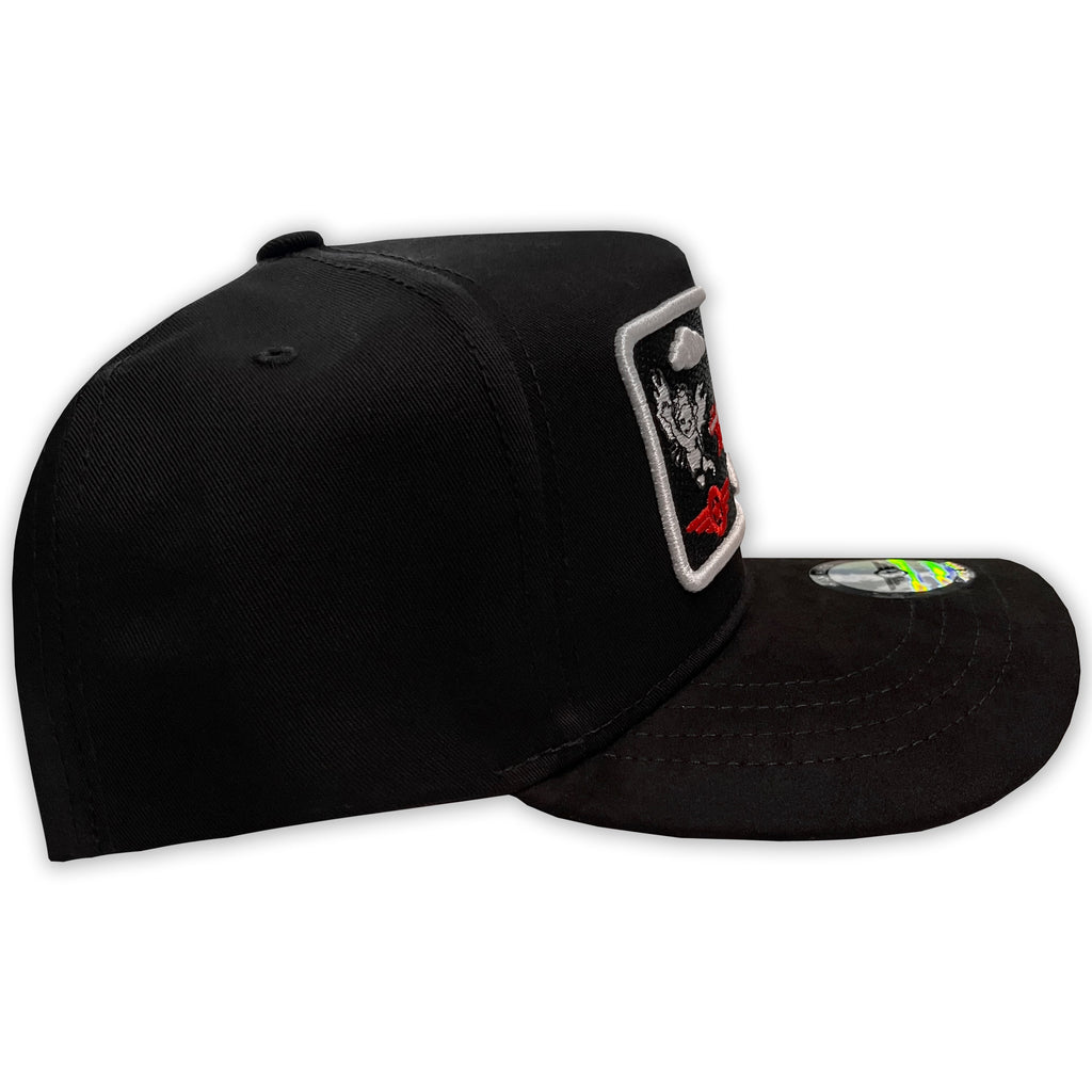 AM HATS AVION CLOUDS