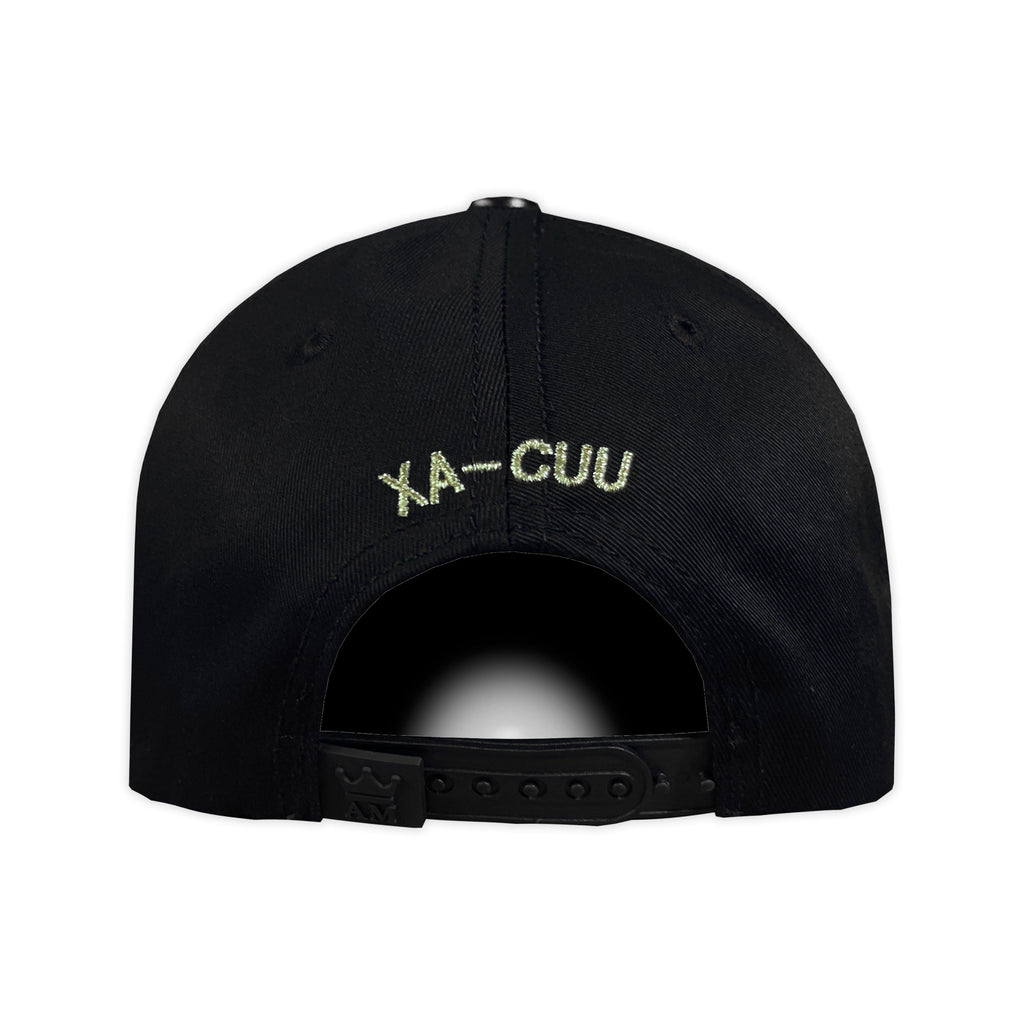 Gorra AM HATS AVION XA-CUU 2.0 DORADO