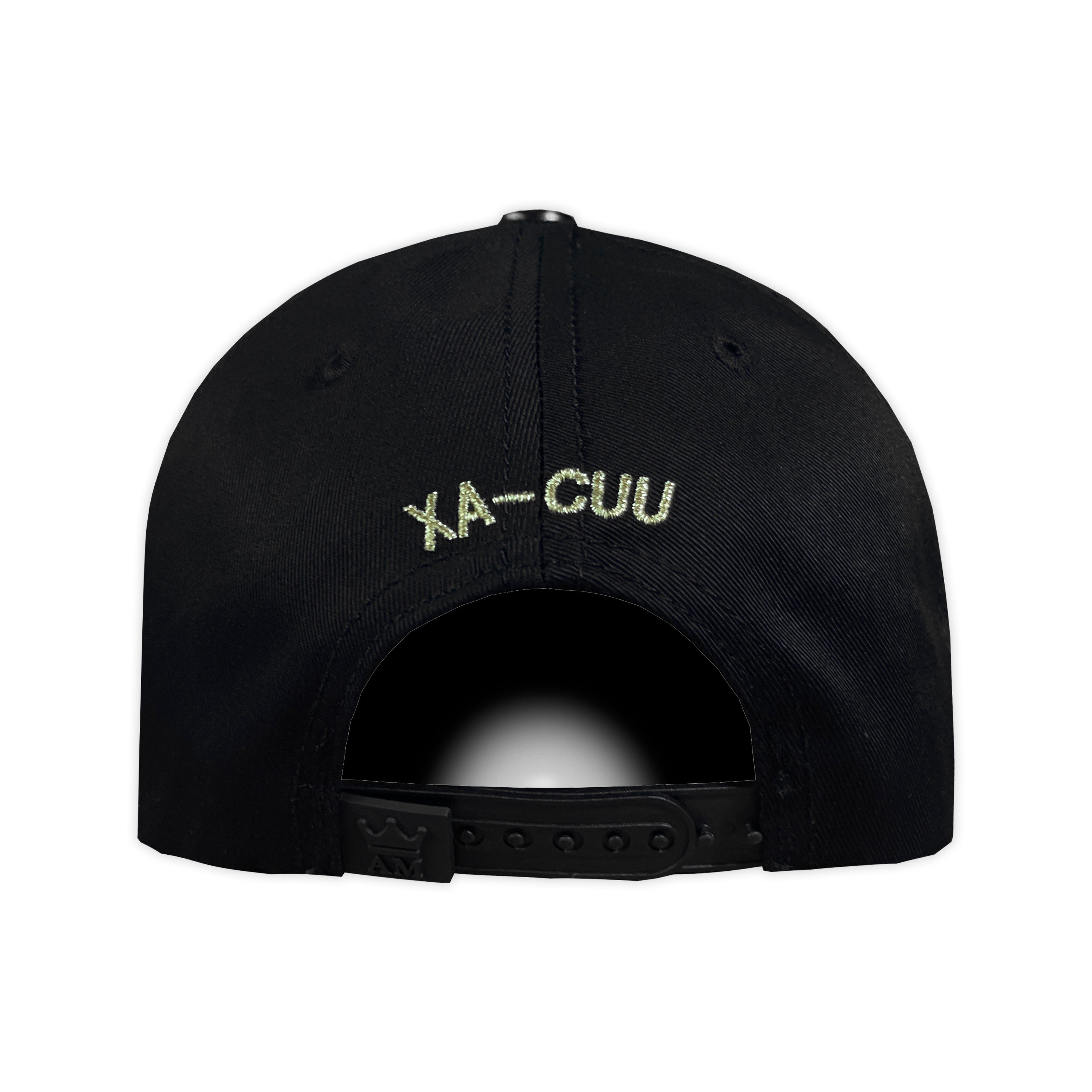 Gorra AM HATS AVION XA-CUU 2.0 DORADO
