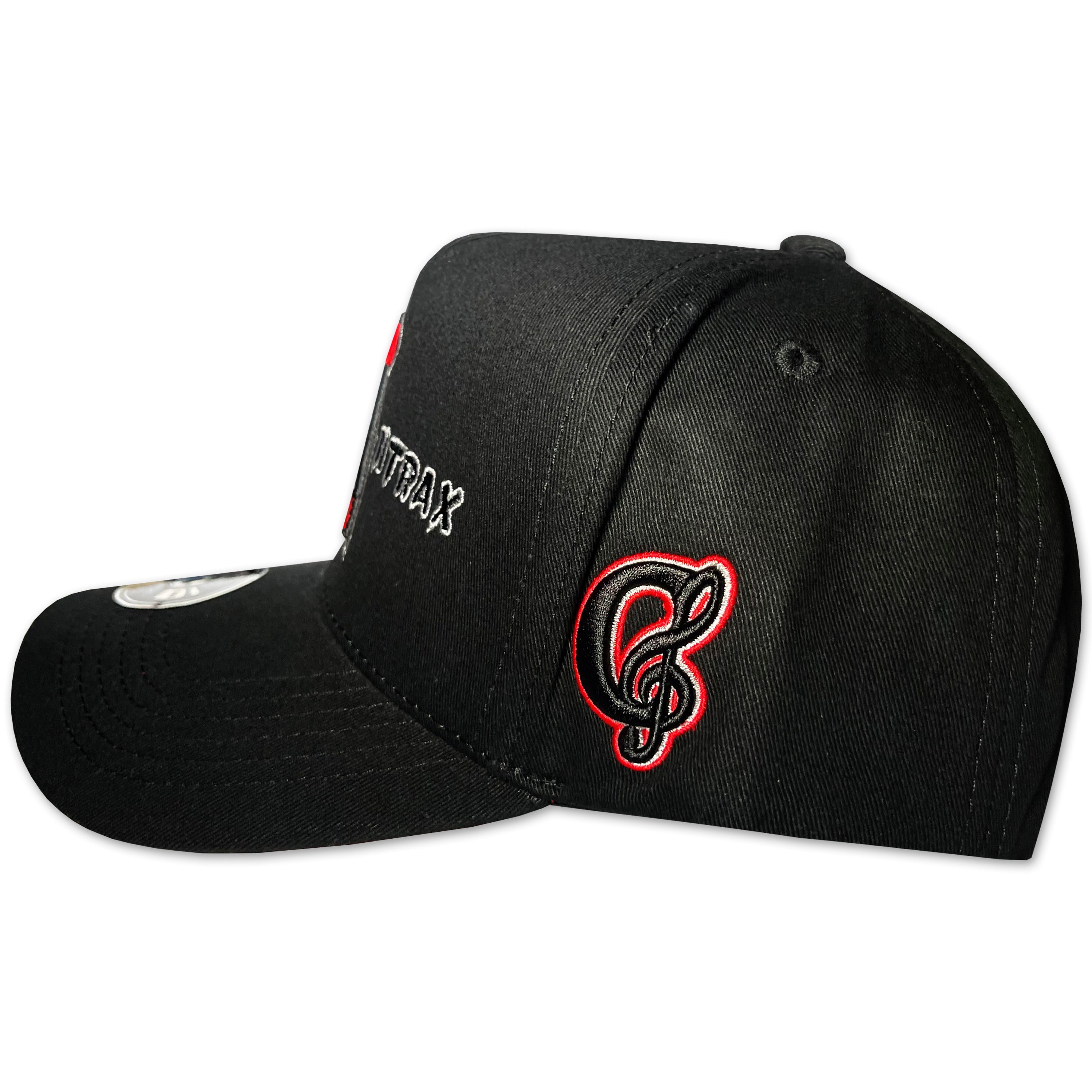 GORRA CAP SONG ESCUELA DEL VIRUS ANTRAX